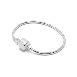 Sterling Silver Snake Chain Bracelet – Charming Charlie